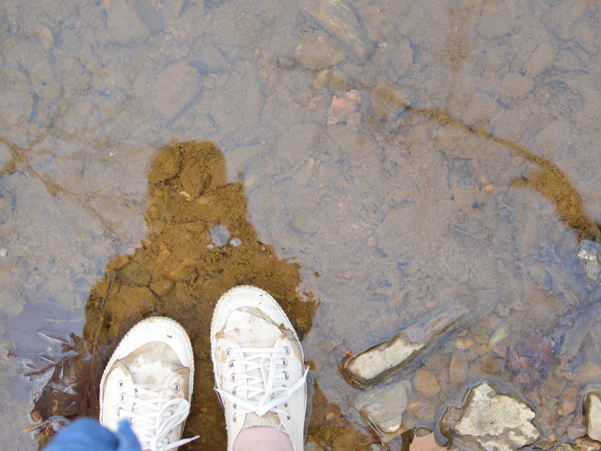 A Song that&nbsp;Anchors