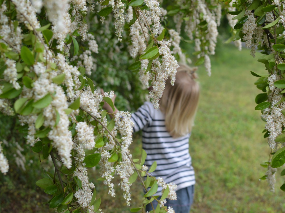 Compassion + Retreat