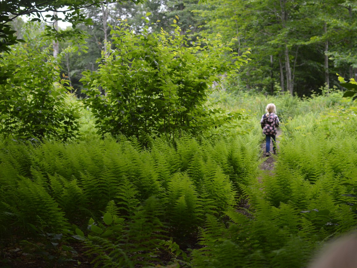 A friend for each part of&nbsp;you.